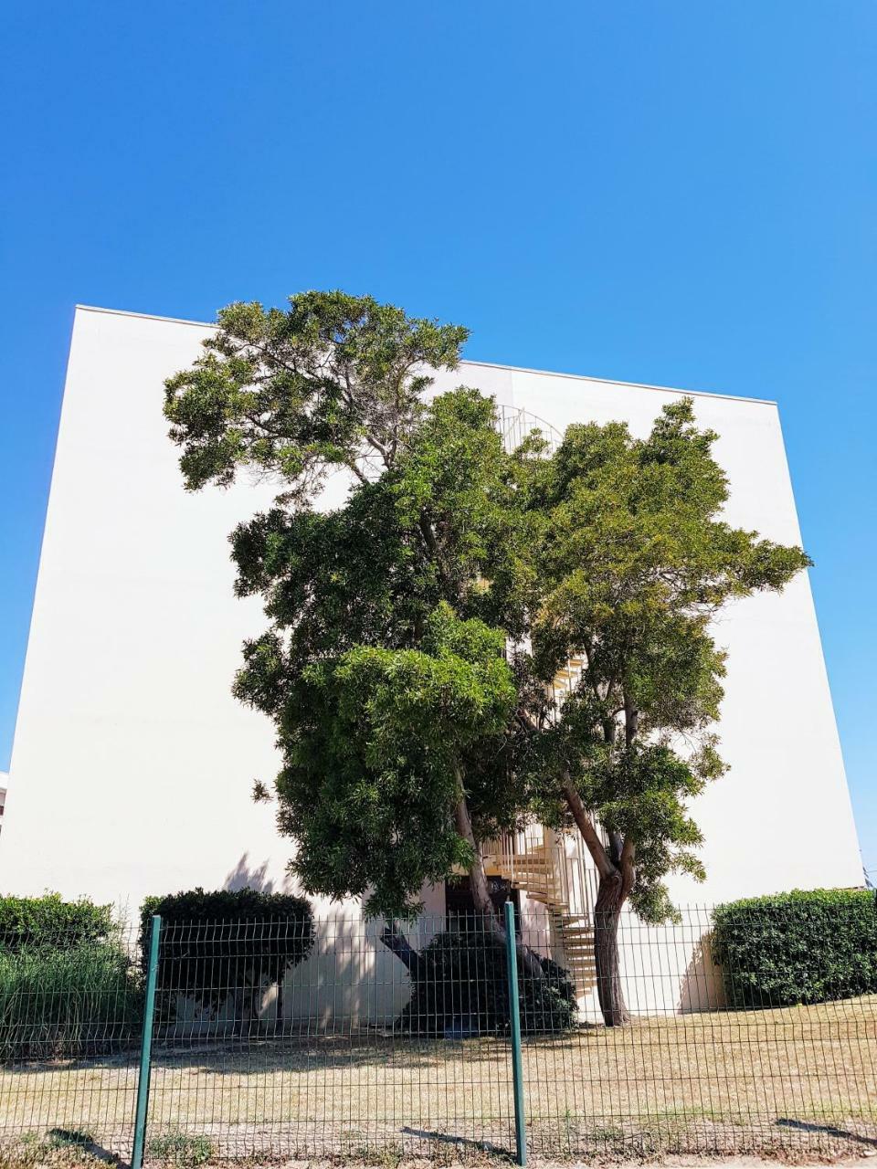 Studio Calme Avec Parking Et Ascenseur -304- Canet-en-Roussillon Εξωτερικό φωτογραφία