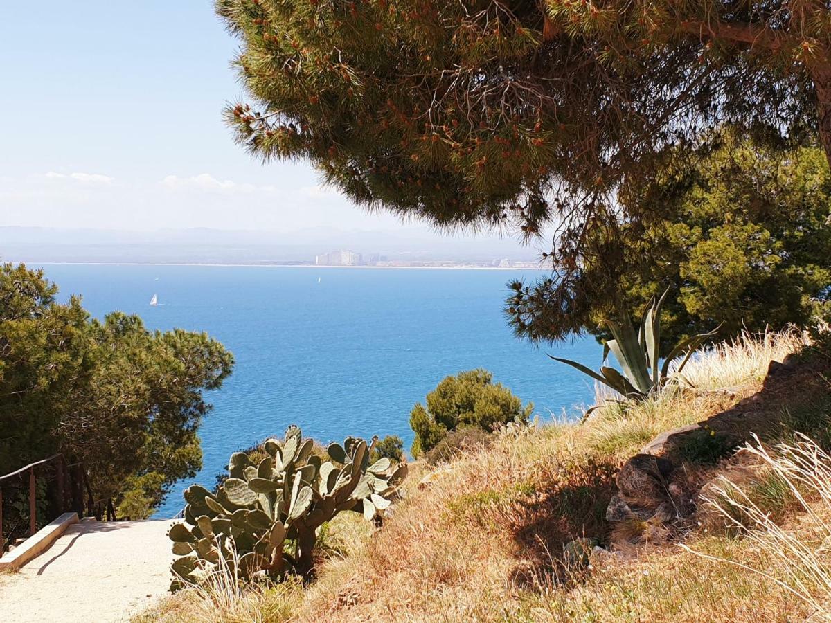 Studio Calme Avec Parking Et Ascenseur -304- Canet-en-Roussillon Εξωτερικό φωτογραφία