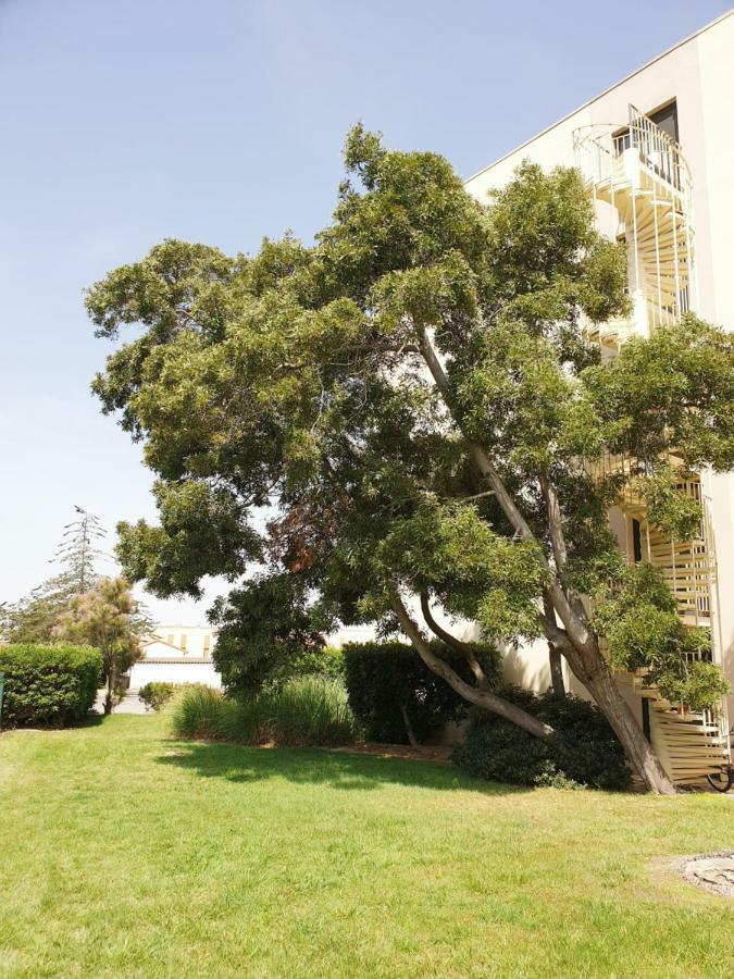 Studio Calme Avec Parking Et Ascenseur -304- Canet-en-Roussillon Εξωτερικό φωτογραφία